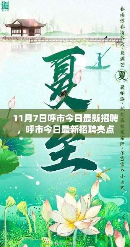 呼市最新招聘亮点解析(11月7日版)