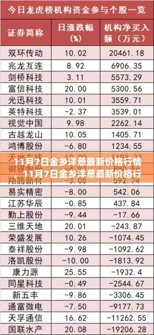 11月7日金乡洋葱行情揭秘,价格走势背后的市场洞察