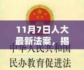 揭秘重塑未来法律框架的里程碑,人大最新法案重磅出炉,11月7日法案解析