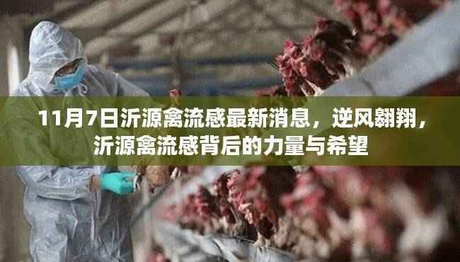 沂源禽流感最新动态,逆风翱翔,展现力量与希望