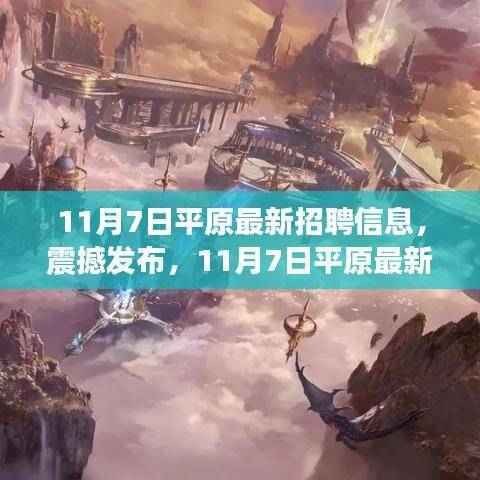 11月7日平原最新高科技招聘热潮,引领未来求职招聘新纪元