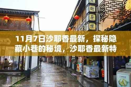 探秘沙耶香隐藏小巷的特色小店,秘境之旅(11月7日最新报道)