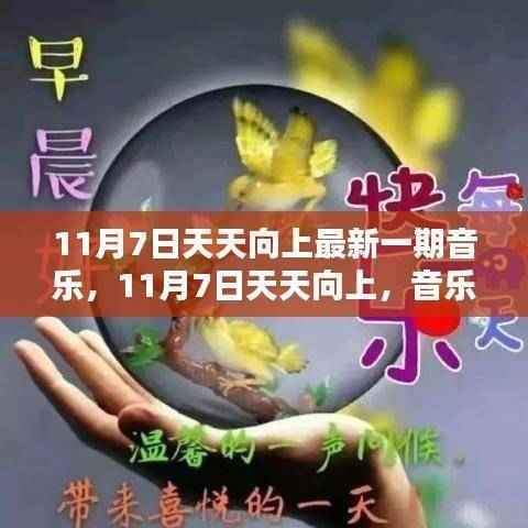 音乐唤醒潜能,11月7日天天向上最新一期音乐力量