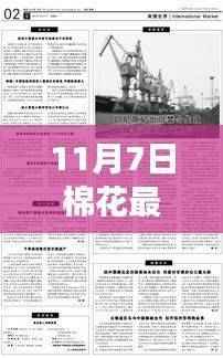 深度解读与全方位评估，11月7日棉花最新政策解析与影响展望