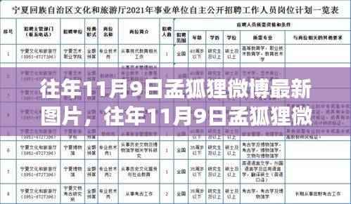 社交媒体时代孟狐狸微博影响力分析,最新图片传播与个人影响力探讨