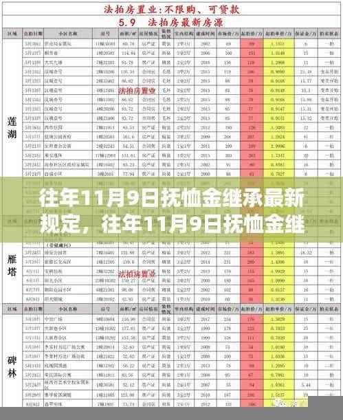 解读往年11月9日抚恤金继承规定,最新政策解析与继承问题探讨
