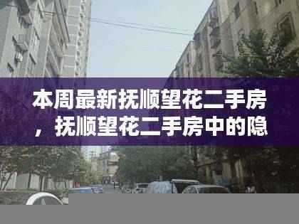 本周抚顺望花二手房探秘,隐藏瑰宝与小巷特色小店一览
