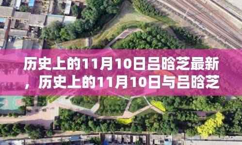 历史上的11月10日与吕晗芝的最新贡献,值得探讨的焦点