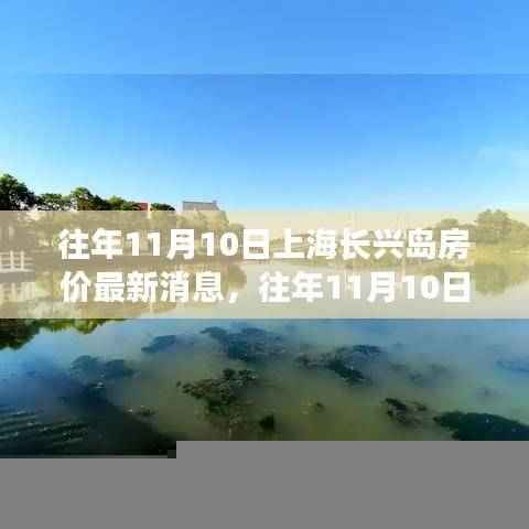 上海长兴岛房价最新动态,多方观点解析与个人立场阐述,历年11月10日回顾分析