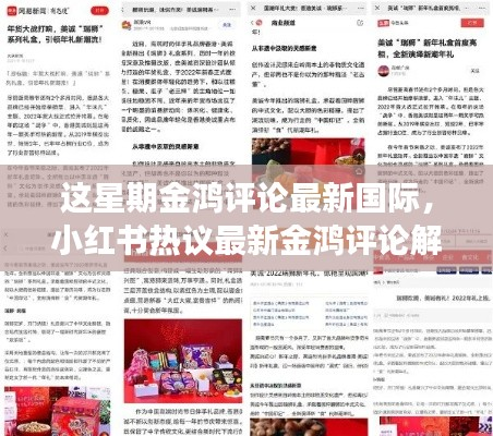 金鸿评论解读国际风云,洞察全球动态,热议国际时事