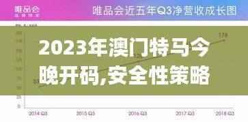 2023年澳门特马今晚开码,安全性策略解析_实现版NRP322.57