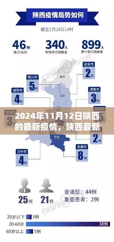 陕西疫情动态更新,挑战与应对策略聚焦在行动(2024年11月12日)