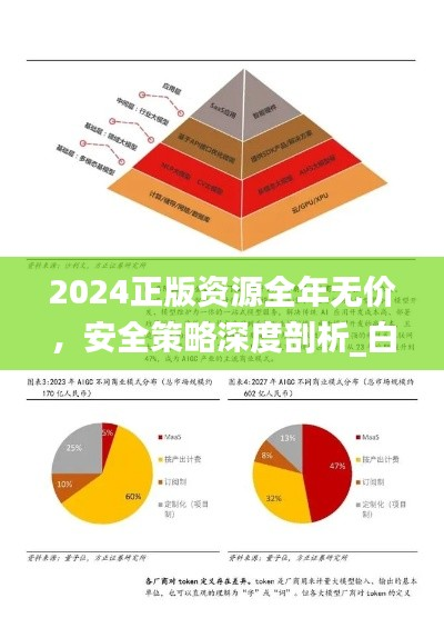 2024正版资源全年无价,安全策略深度剖析_白银版HXB444.14