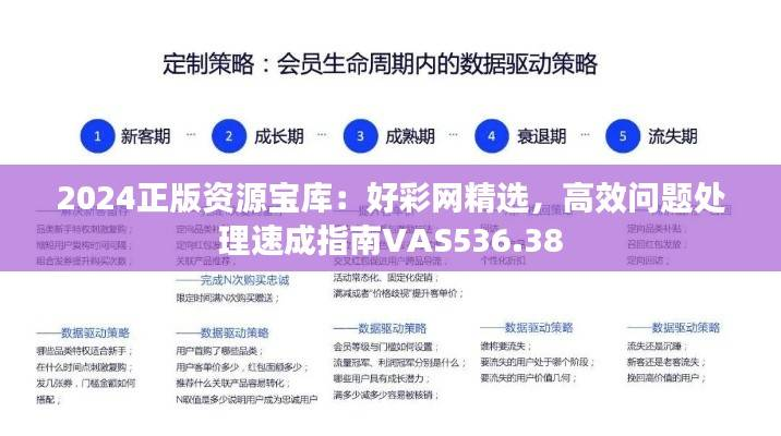 2024正版资源宝库：好彩网精选，高效问题处理速成指南VAS536.38