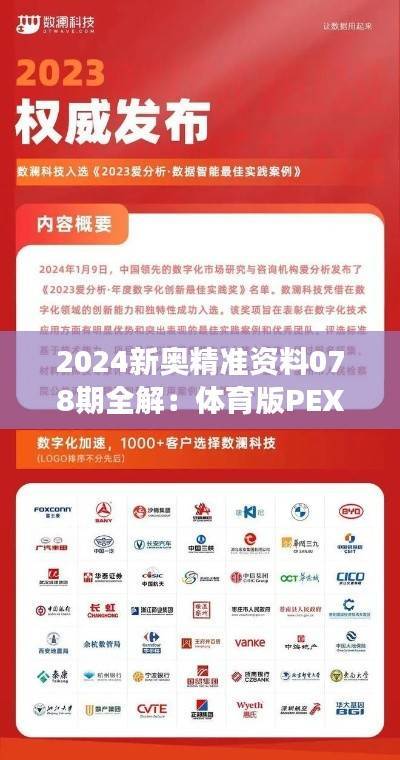 2024新奥精准资料078期全解:体育版PEX611.65方案深度剖析