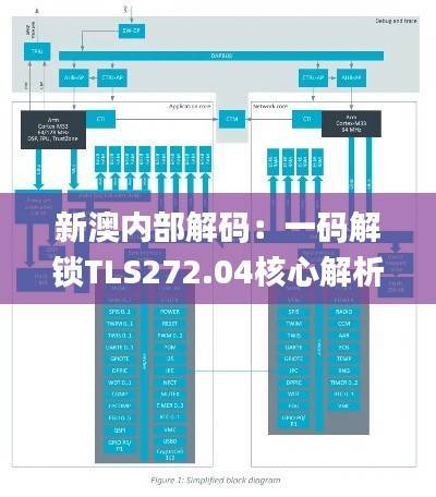 新澳内部解码：一码解锁TLS272.04核心解析_白银版揭秘
