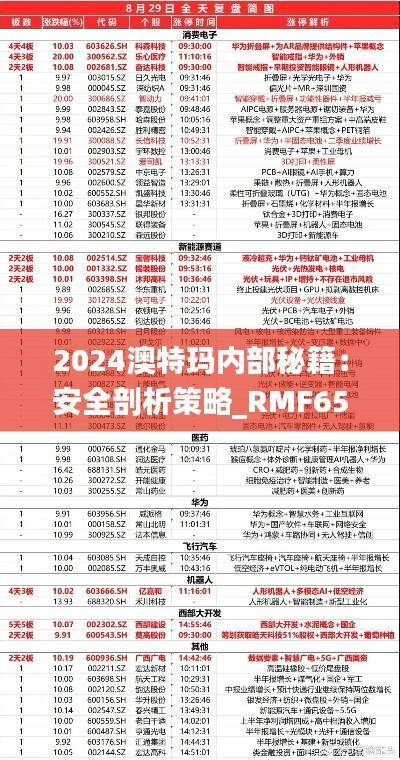 2024澳特玛内部秘籍:安全剖析策略_RMF651.19高级版