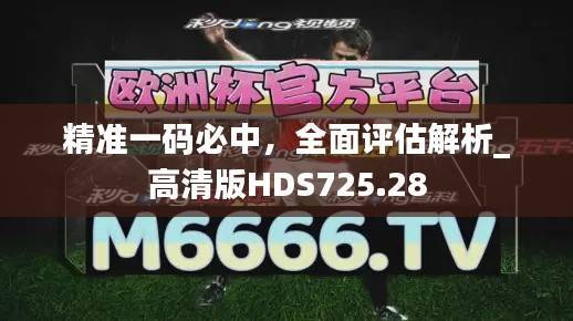 精准一码必中,全面评估解析_高清版HDS725.28