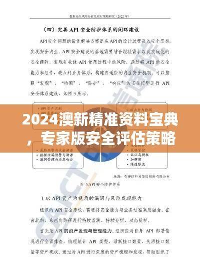2024澳新精准资料宝典,专家版安全评估策略指南PHU392.55