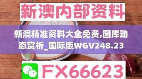 新澳精准资料大全免费,图库动态赏析_国际版WGV248.23