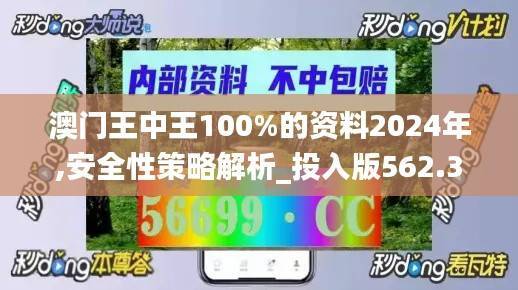 澳门王中王100%的资料2024年,安全性策略解析_投入版562.36