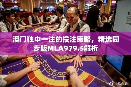 澳门独中一注的投注策略,精选同步版MLA979.5解析