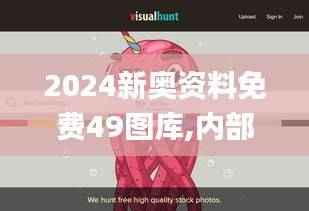 2024新奥资料免费49图库,内部收益率_辟谷SCA46.65