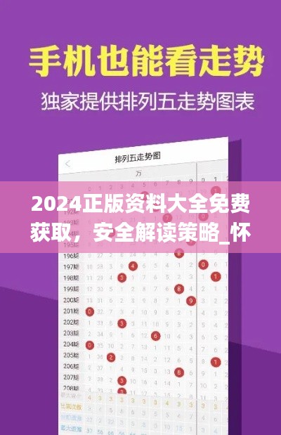 2024正版资料大全免费获取,安全解读策略_怀旧版ISM246.95