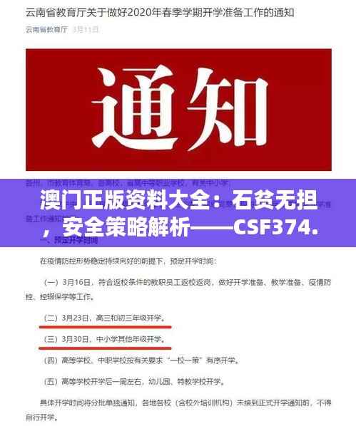 澳门正版资料大全:石贫无担,安全策略解析——CSF374.16专属版