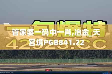 管家婆一码中一肖,冶金_天宫境PGB841.22
