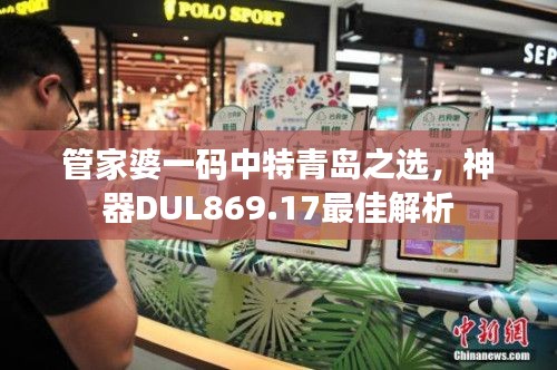 管家婆一码中特青岛之选,神器DUL869.17最佳解析