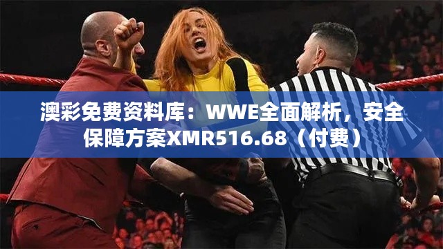 澳彩免费资料库:WWE全面解析,安全保障方案XMR516.68(付费)