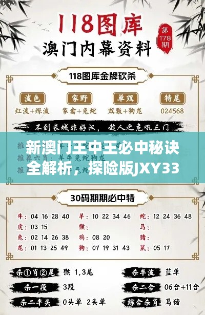 新澳门王中王必中秘诀全解析,探险版JXY33.67深度解读