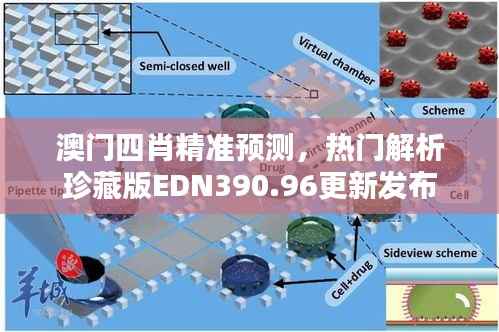 澳门四肖精准预测,热门解析珍藏版EDN390.96更新发布
