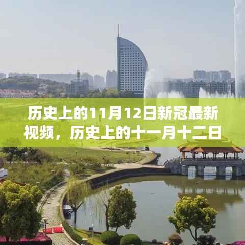 历史上的11月12日新冠最新视频回眸,十一月十二日的记忆与进展
