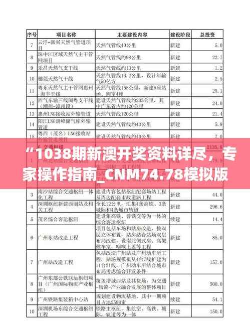 “1038期新澳开奖资料详尽,专家操作指南_CNM74.78模拟版”