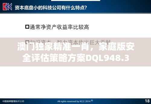 澳门独家精准一肖,家庭版安全评估策略方案DQL948.3