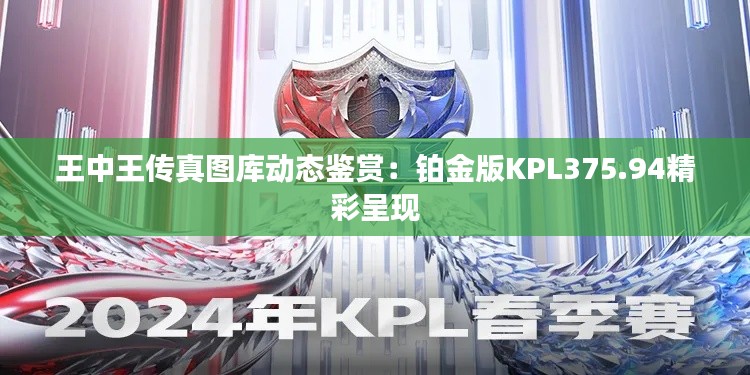 王中王传真图库动态鉴赏:铂金版KPL375.94精彩呈现