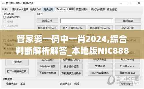 管家婆一码中一肖2024,综合判断解析解答_本地版NIC888.7