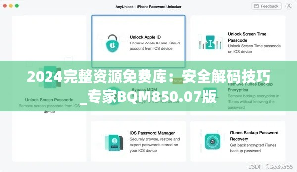 2024完整资源免费库:安全解码技巧_专家BQM850.07版