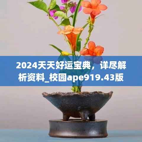 2024天天好运宝典,详尽解析资料_校园ape919.43版