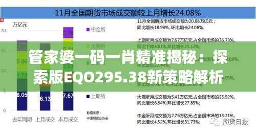 管家婆一码一肖精准揭秘:探索版EQO295.38新策略解析