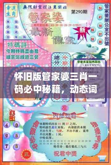 怀旧版管家婆三肖一码必中秘籍,动态词义剖析_CGV135.21