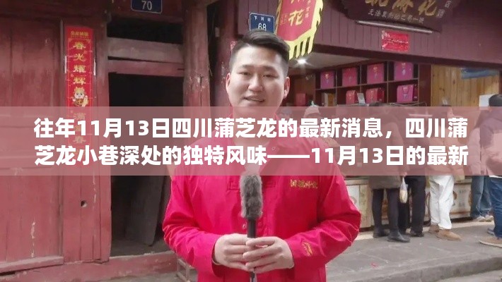四川蒲芝龙小巷探秘,独特风味之旅的最新消息(11月13日更新)