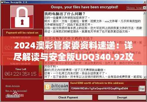 2024澳彩管家婆资料速递:详尽解读与安全版UDQ340.92攻略