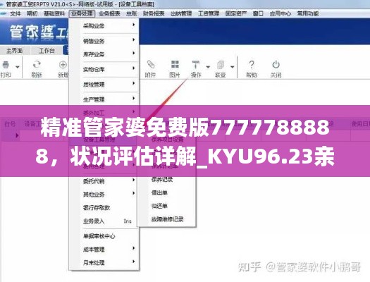 精准管家婆免费版7777788888,状况评估详解_KYU96.23亲和版