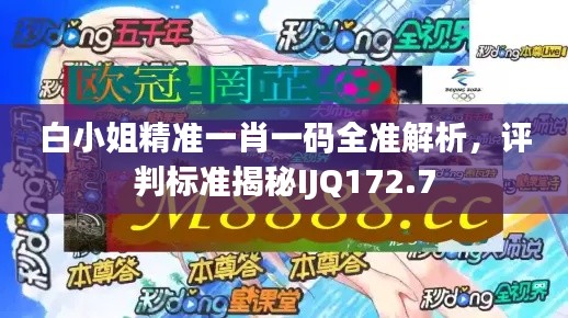 白小姐精准一肖一码全准解析,评判标准揭秘IJQ172.7