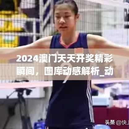 2024澳门天天开奖精彩瞬间,图库动感解析_动图展示FMQ893.76