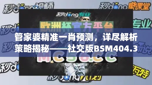 管家婆精准一肖预测,详尽解析策略揭秘——社交版BSM404.37