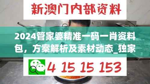 2024管家婆精准一码一肖资料包,方案解析及素材动态_独家QPO5.11版